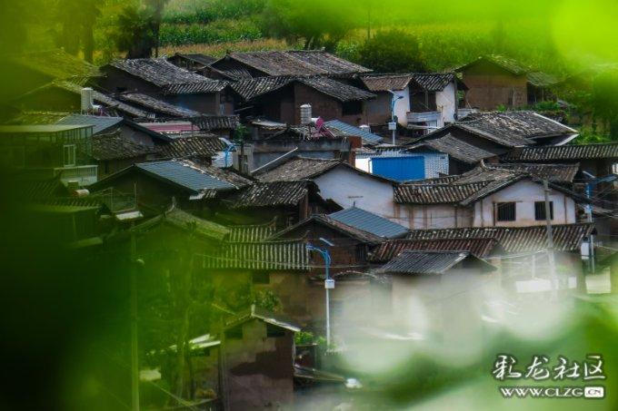 “某中学跳了4个”?网警调查,姜某被罚!
